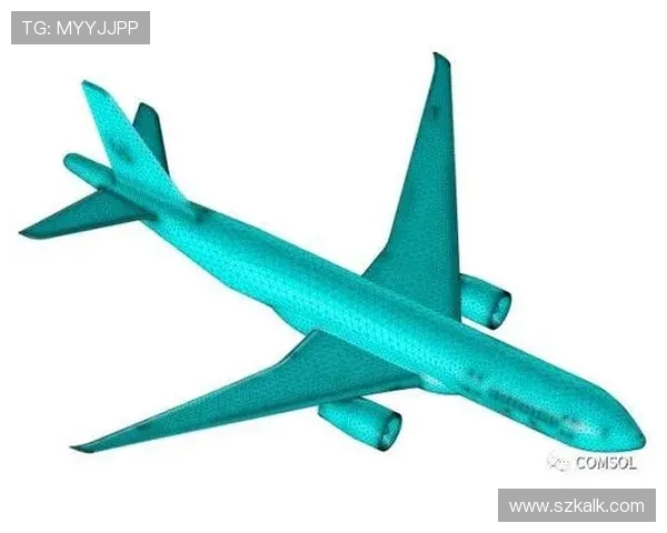 飞机雷电防护网电磁屏蔽效能