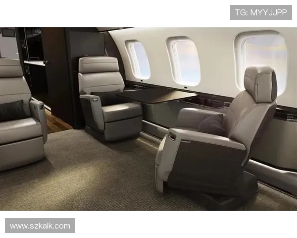 飞机客舱内部空气的循环风速